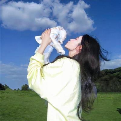 希德尼娅的骑士