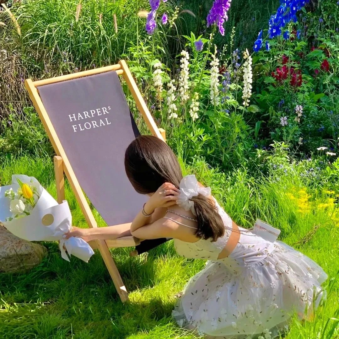 裸露在狼群国语